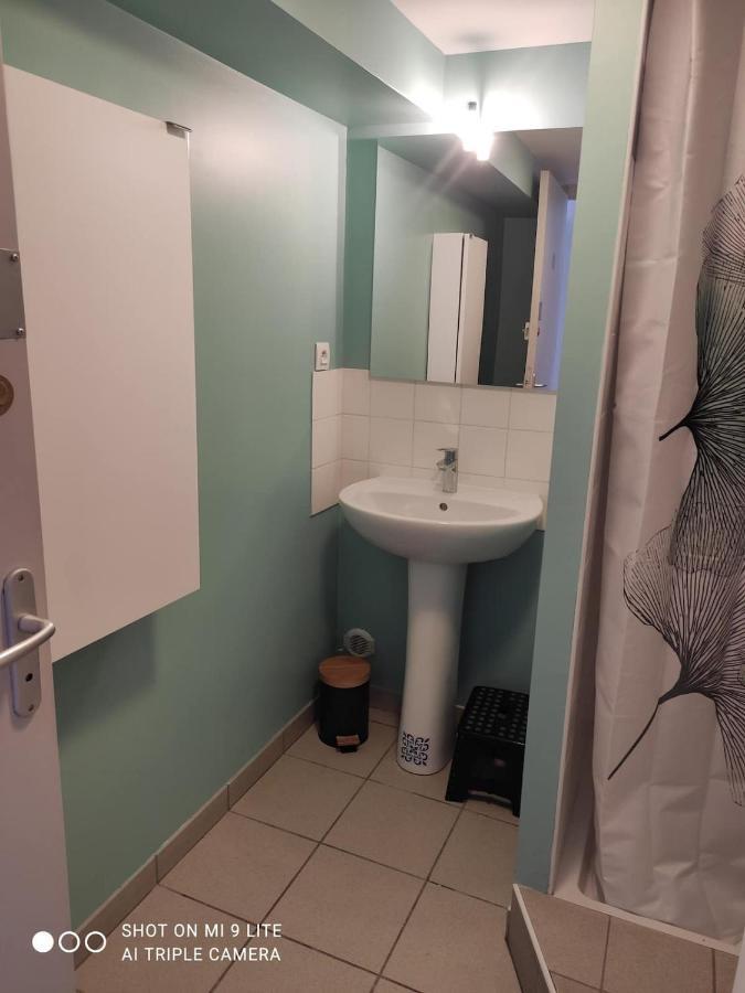 La Cahute, Appartement T2 Avec Jardin Ou Appartement Familial T6 Montauban Kültér fotó